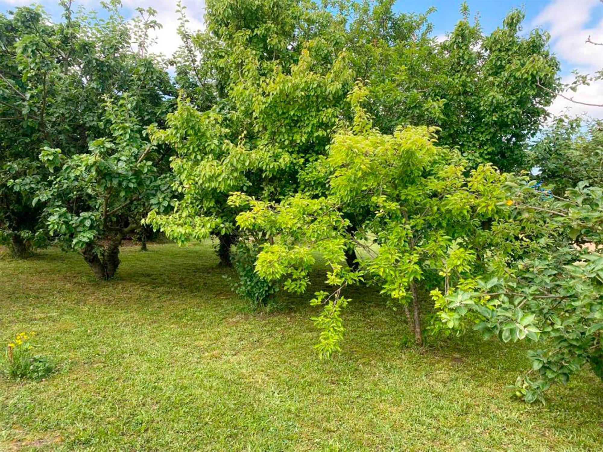 Apartamentos Via Street 3000 Hinojedo Kültér fotó
